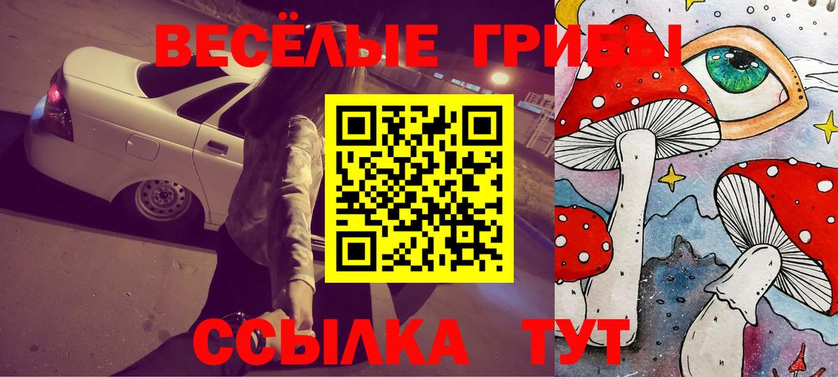 Галлюциногенные грибы ЛСД Унеча