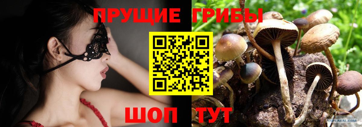Унеча  Галлюциногенные грибы GOLDEN TEACHER  Вход с VPN 