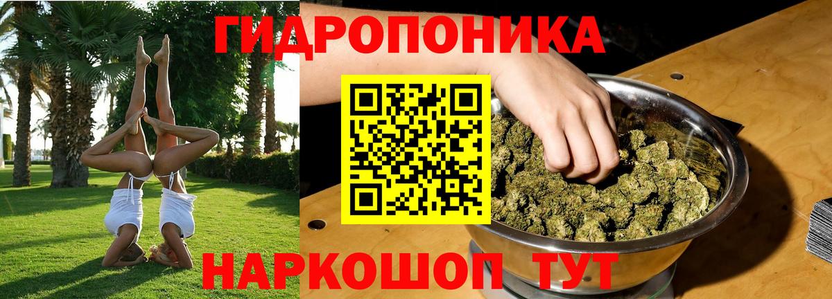 Бошки марихуана OG Kush  Бошки Шишки тримм  Каннабис Ganja  Унеча  Вход с VPN 